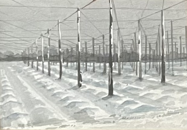 Water colour painting of a hop field, under grey skies, with vertical posts and wires covered in snow