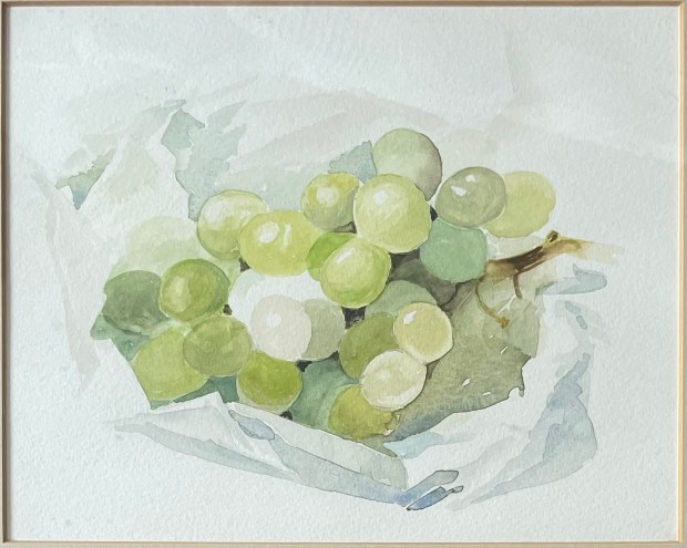 Watercolour painting of a bunch of green grapes